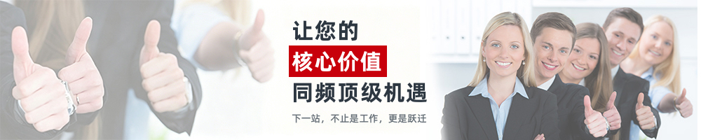 让您的核心价值同频顶级机遇；下一站，不止是工作，更是跃迁。